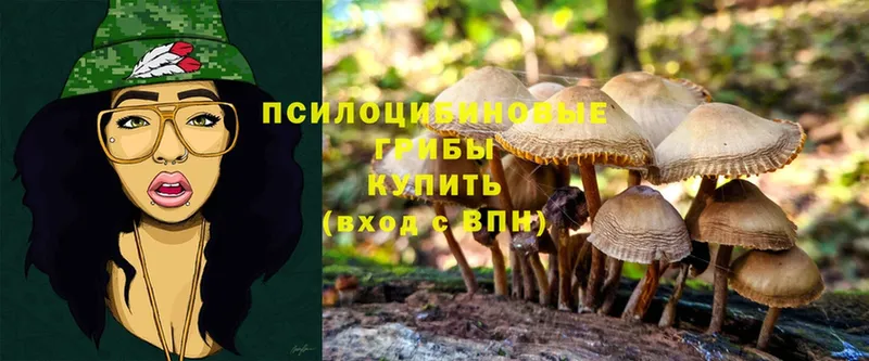 что такое наркотик  Балаково  Галлюциногенные грибы MAGIC MUSHROOMS 